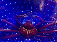 -蟹之国·精品蟹料理(极地店)