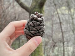 -秦岭终南山世界地质公园翠华山景区