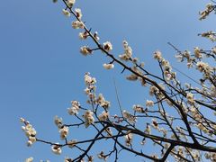 -孙武文化园-停车场
