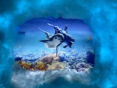 -海合安天津极地海洋公园