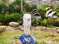 -南宫五洲植物乐园