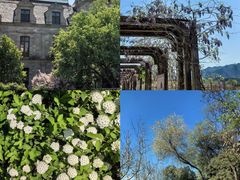 -北京张裕爱斐堡酒庄