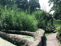 -成都市活水公园