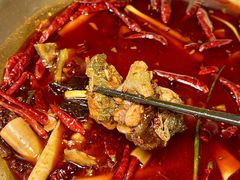 -小龙翻大江文化火锅(宽窄店)