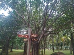 -白沙门生态公园