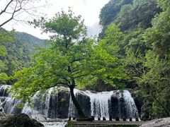 -刘伯温故里景区百丈漈