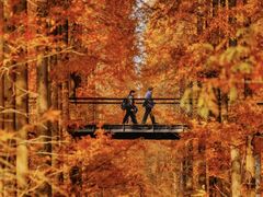 -黄海国家森林公园