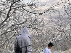 -阳台山自然风景区