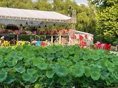 -洛阳市隋唐城遗址植物园