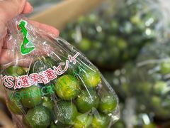 -油麻地果栏