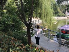 -莲湖公园