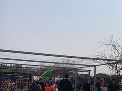 -小鱼草莓采摘园农家乐·小鱼餐厅