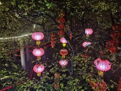 -桃园盛宴·岭南粤菜·手工茶点(南庄店)