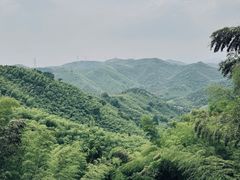 -东明山森林公园