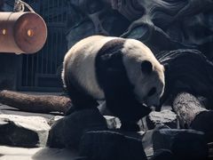 -武汉动物园