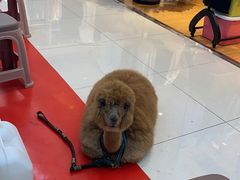 -利群商厦(台东店)