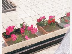 -天天渔港(杏林街店)