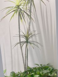 -VE小颜皮肤管理&科学美肤中心