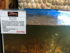 -同乐酒楼(皇后镇店)