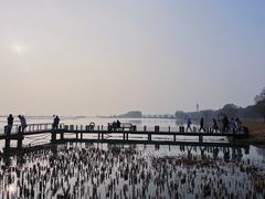 -苏州太湖湖滨国家湿地公园