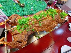 -杨正宗烤全羊(北二环店)