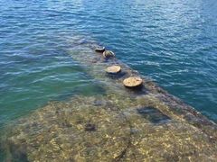 -夏威夷珍珠港