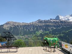 -因特拉肯贝乌里瓦奇大酒店