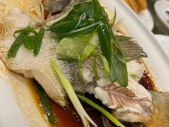 -海晖酒楼·顺德鱼生(荣华店)