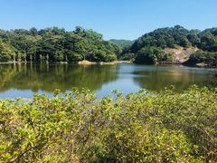 -广州市石门国家森林公园