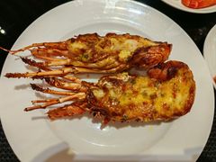 -圣丰索菲特·2 On 988 Café 自助餐厅