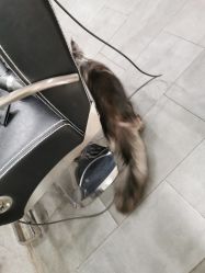 -名品美发