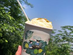 人间烟火-茶颜悦色(岳麓山顶店)