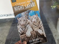 -清迈夜间动物园