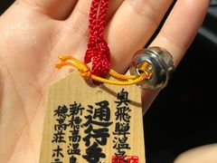 -惠高庄萨诺月酒店