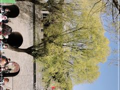 -雁门关景区