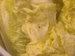 -同仁四季椰子鸡(海岸城天利店)