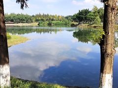 -升仙湖公园
