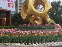 -新湖明珠城