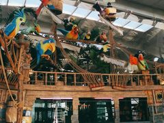 -南宫五洲植物乐园