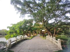 -江心屿景区