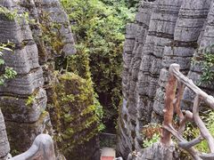 -梭布垭石林景区