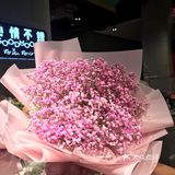 这家店虽然不是很大，但是花的品种很多
