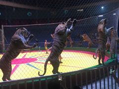 -西安秦岭野生动物园