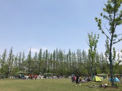 -上海长兴岛郊野公园