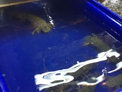 -班赞海鲜市场