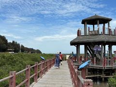 -北海金海湾红树林生态旅游区