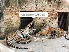 -海南热带野生动植物园