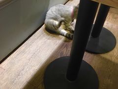 -小时光咖啡馆(开森度假森林店)