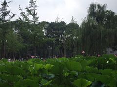 -四川大学(望江校区)