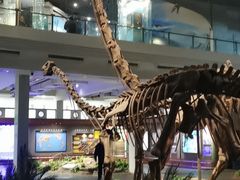 -自贡恐龙博物馆